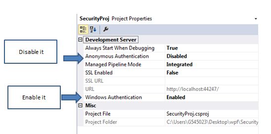 Windows Authentication